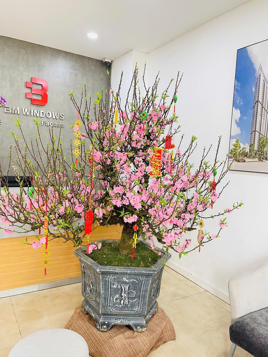 Top 7+ Loại Hoa Nên Trồng Ngay Hôm Nay Để Nở Rộ Đúng Dịp Tết 2026